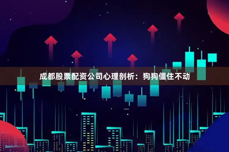成都股票配资公司心理剖析：狗狗僵住不动